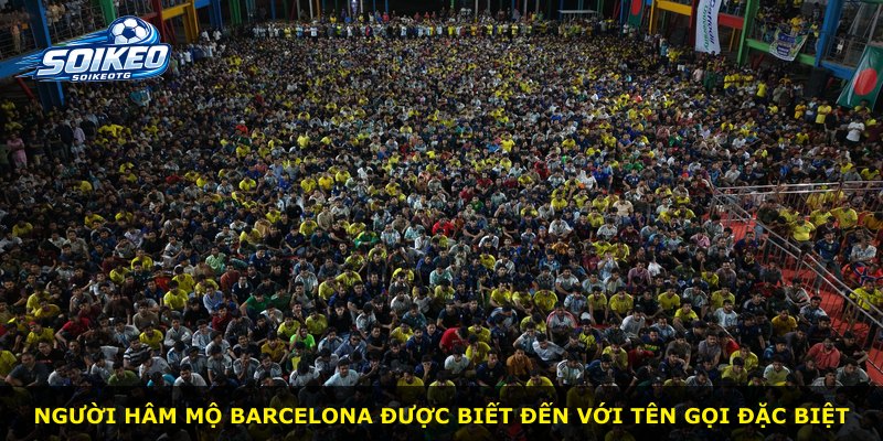 Người hâm mộ Barcelona được biết đến với tên gọi đặc biệt