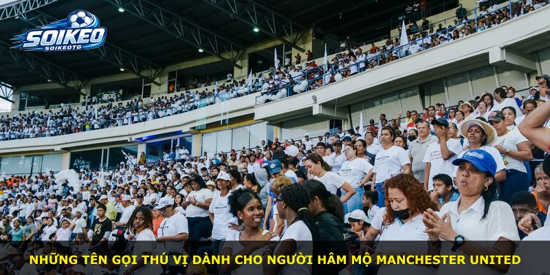 Những tên gọi thú vị dành cho người hâm mộ Manchester United