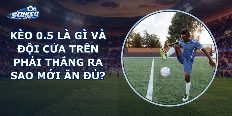 Kèo 0.5 Là Gì