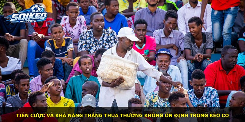 Tiền cược và khả năng thắng thua thường không ổn định trong kèo cỏ