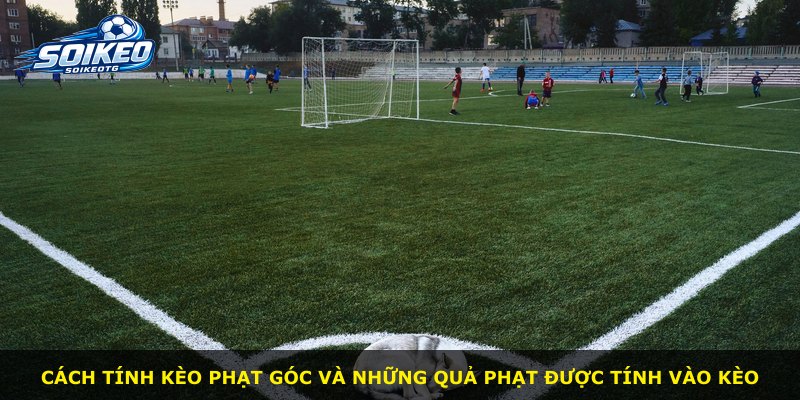 Cách tính kèo phạt góc và những quả phạt được tính vào kèo