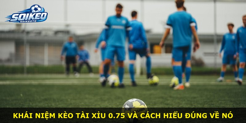 Khái niệm kèo Tài Xỉu 0.75 và cách hiểu đúng về nó