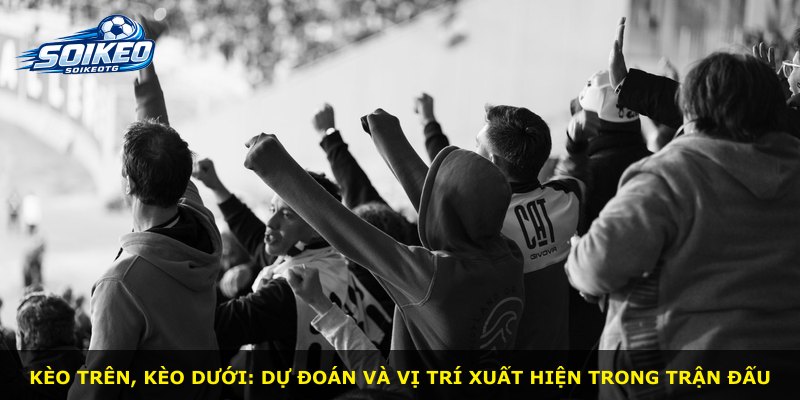 Kèo trên, kèo dưới: dự đoán và vị trí xuất hiện trong trận đấu