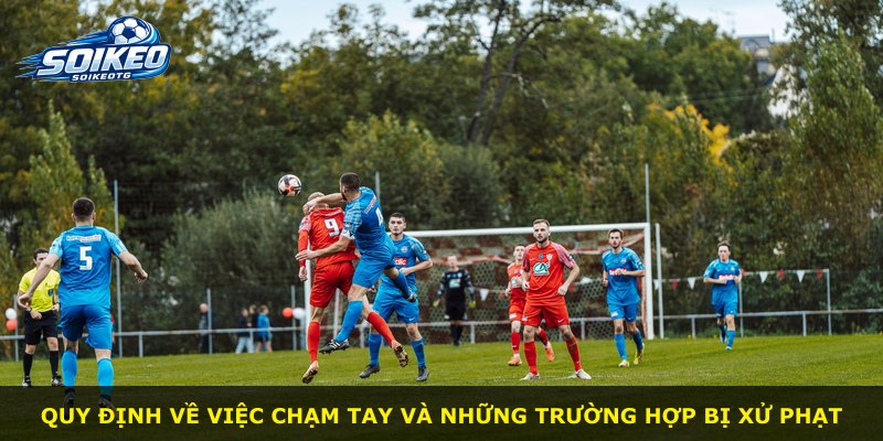 Quy định về việc chạm tay và những trường hợp bị xử phạt