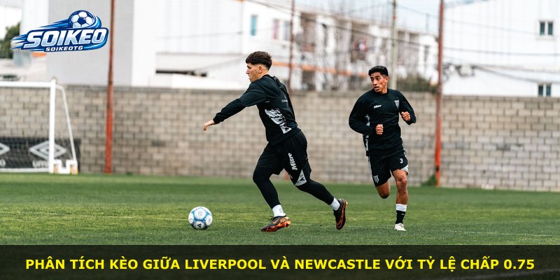 Phân tích kèo giữa Liverpool và Newcastle với tỷ lệ chấp 0.75
